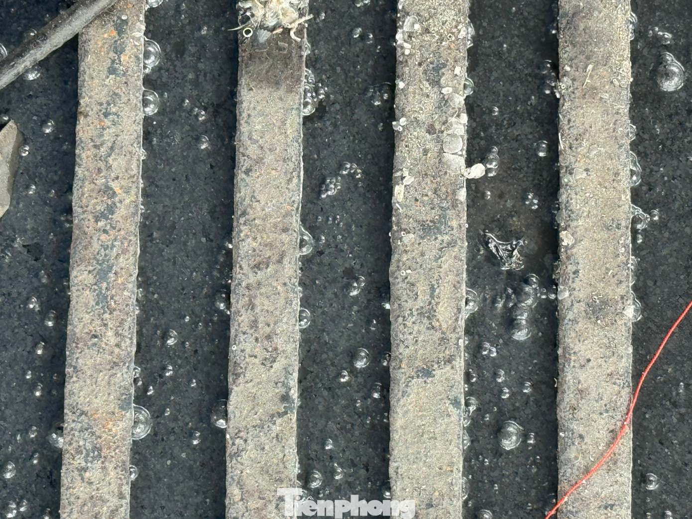 Dòng nước đen ngòm được xả thẳng trực tiếp xuống sông Bài Ca.