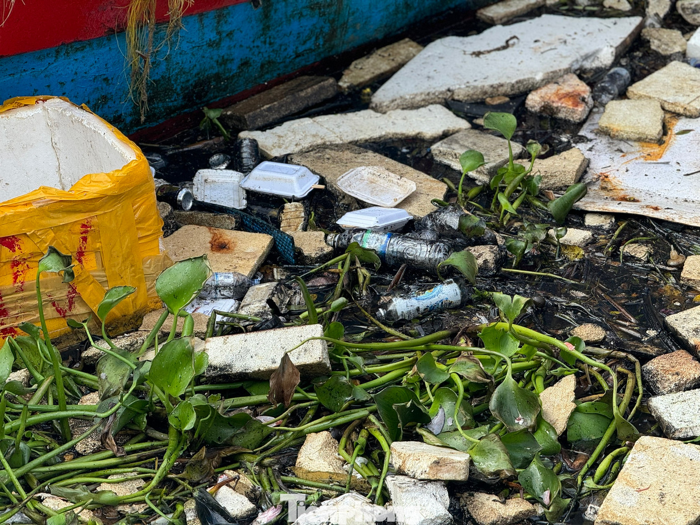 Dưới mặt nước đủ loại rác thải trôi nổi bập bềnh.