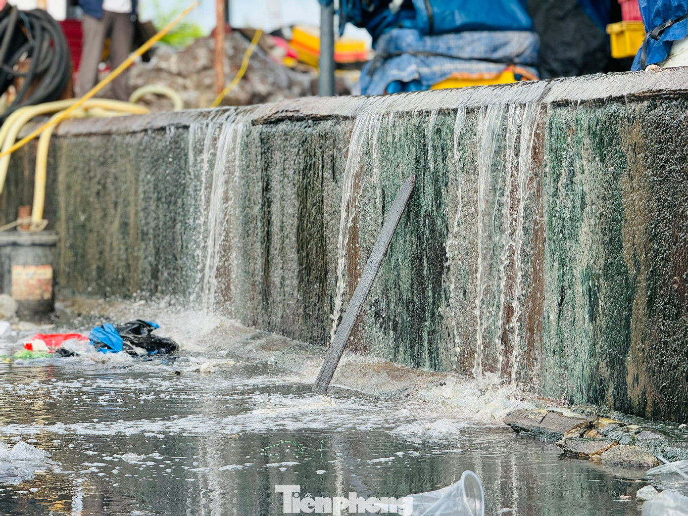 Nước thải từ việc bốc dỡ hải sản không qua xử lý được xả thải trực tiếp ra môi trường.