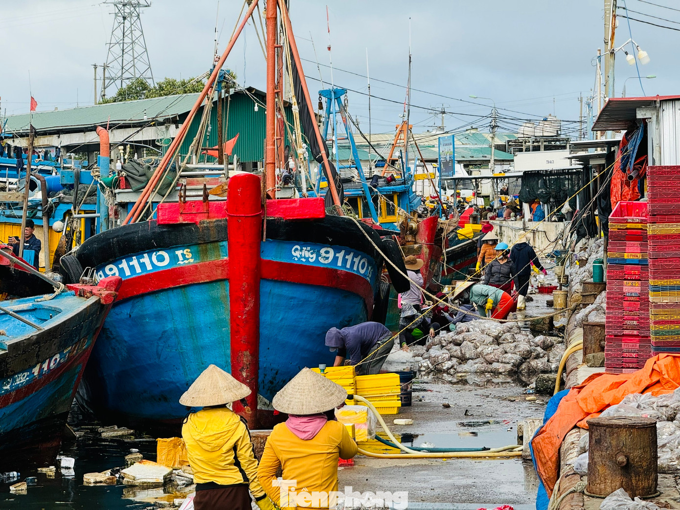 Cảng cá Tịnh Kỳ mỗi ngày có hàng chục lượt tàu cá ra vào bán hải sản..