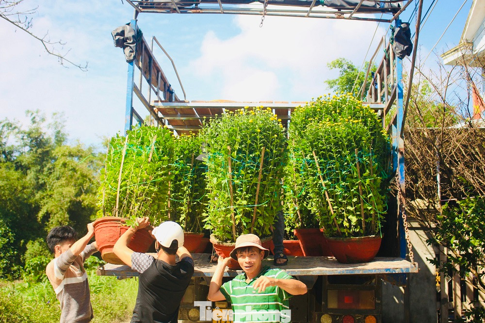 “Làng hoa có tuổi đời hơn 50 năm, chừng ấy thời gian người dân Nghĩa Hiệp, Nghĩa Mỹ đón xuân sớm hơn các nơi. Đến khi hoa rời làng, đến khắp cả nước cho bà con đón Tết thì làng lại trở lại bình thường”, cụ Bình chia sẻ.