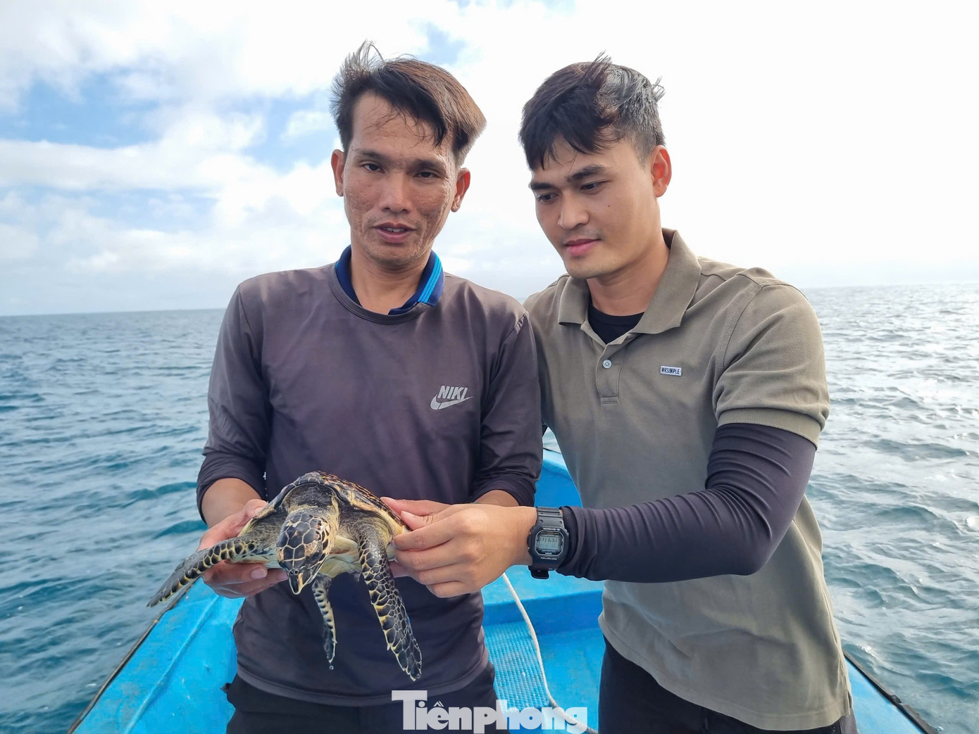 Tiến hành thả cá thể Đồi mồi về tự nhiên. Ảnh: T.T Tiến hành thả cá thể Đồi mồi về tự nhiên. Ảnh: T.T