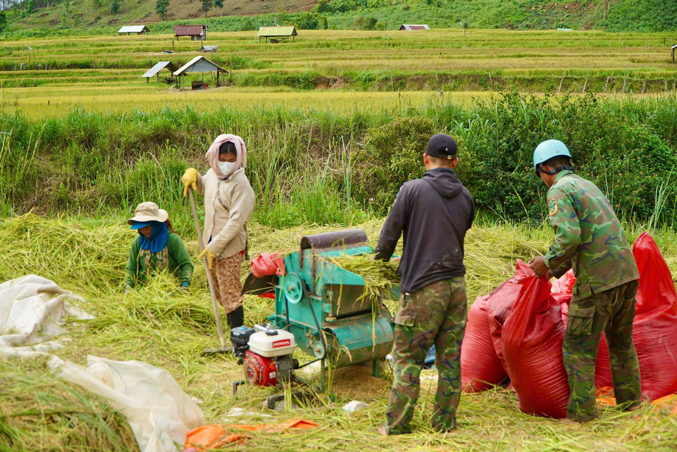 Giữa sắc vàng mênh mang ấy, bóng những người nông dân lom khom gặt lúa, tuốt lúa, gùi lúa, nụ cười rạng rỡ hiện lên giữa những giọt mồ hôi.