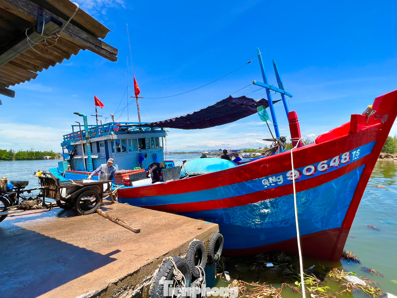 Vừa cập cảng Tịnh Hòa (TP Quảng Ngãi) sau hơn 20 ngày lênh đênh trên ngư trường Hoàng Sa, tàu cá QNg 90003 TS của ngư dân Huỳnh Tấn Quyền (trú xã Nghĩa An, TP Quảng Ngãi) cùng 6 bạn thuyền đánh bắt được hơn 5 tấn cá chuồn với giá bán từ 16.000 – 18.000 đồng/kg. (Ảnh: Nguyễn Ngọc)