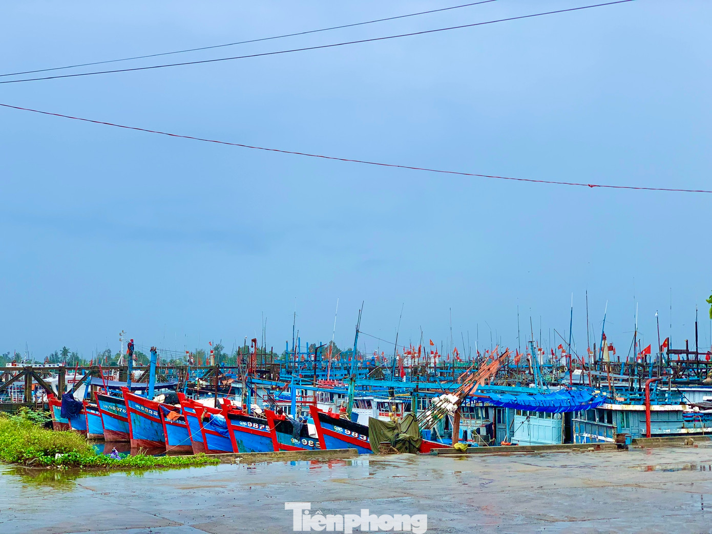 Giá dầu tăng cao khiến nhiều đứng trước nguy cơ nằm bờ vì sợ thua lỗ. Các tàu đang đánh bắt trên biển chuẩn bị về cũng có nguy cơ nằm bờ dài ngày, do tiền bán hải sản không đủ bù chi phí vừa ra khơi. (Ảnh: Nguyễn Ngọc).