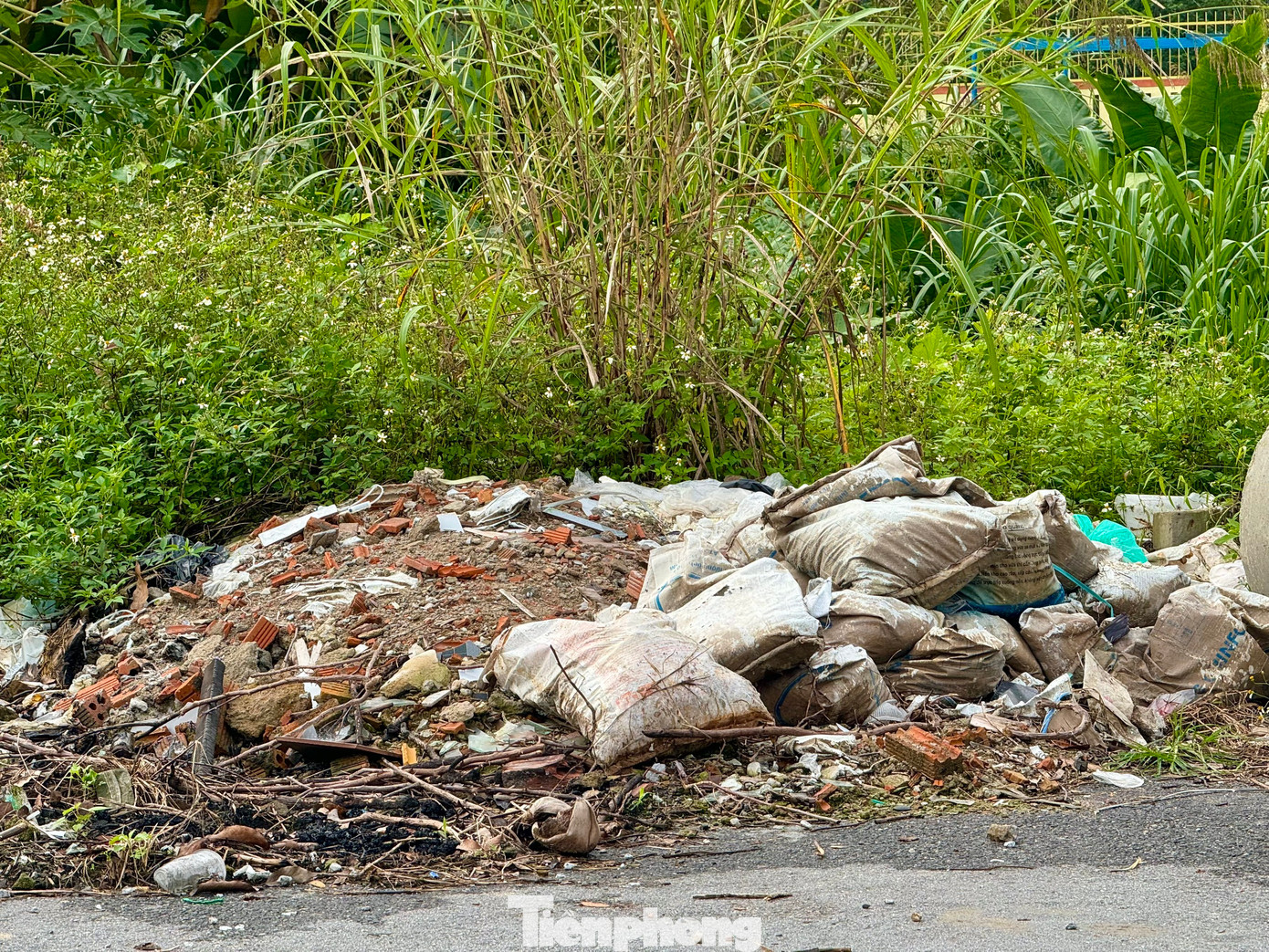 Theo ghi nhận của PV, trên công trường không có dấu hiệu nào của việc thi công, chỉ có vài ống thoát nước được tập kết quá lâu, cỏ dại mọc um tùm.