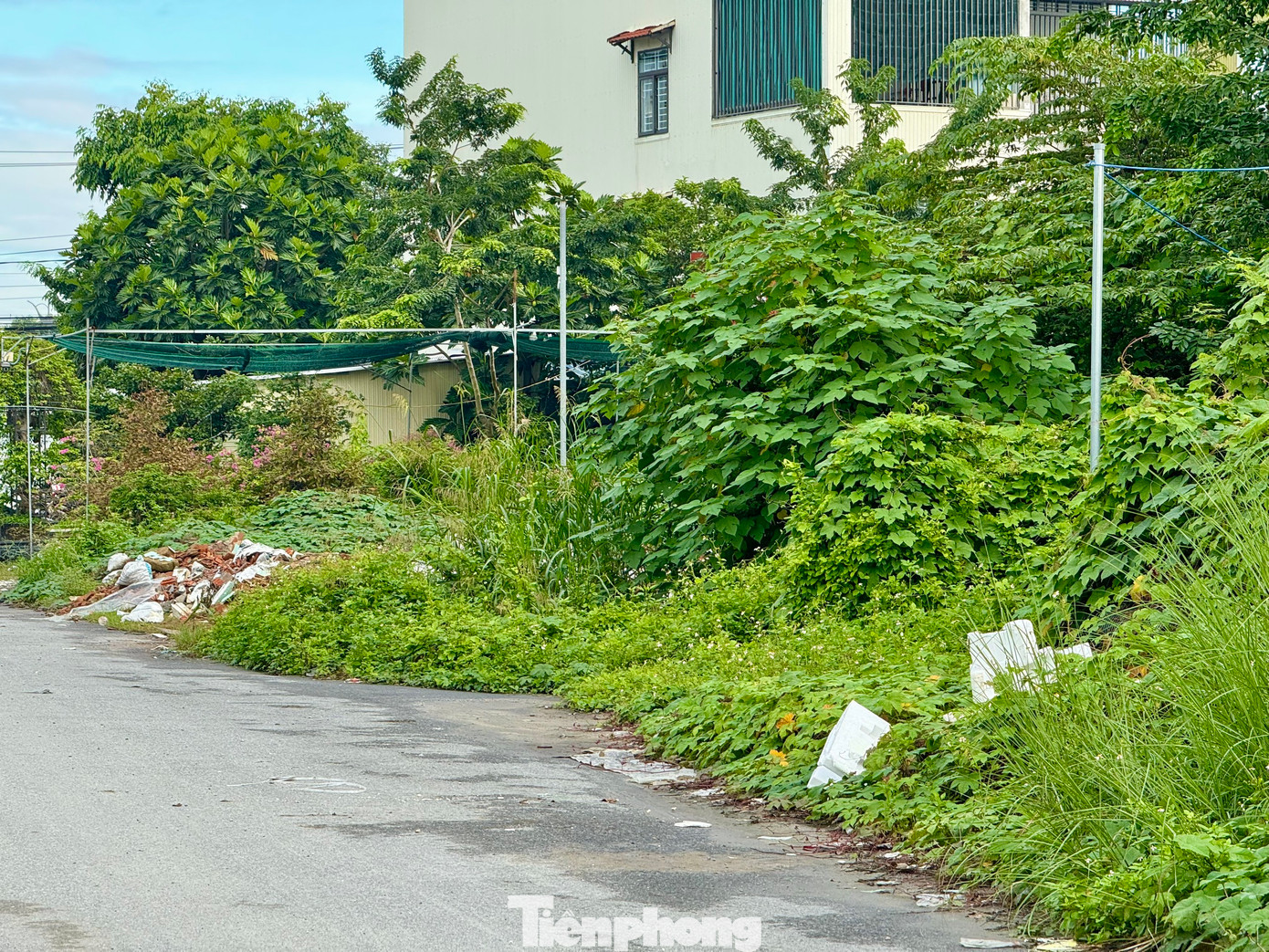 Theo ghi nhận của PV, trên công trường không có dấu hiệu nào của việc thi công, chỉ có vài ống thoát nước được tập kết quá lâu, cỏ dại mọc um tùm.