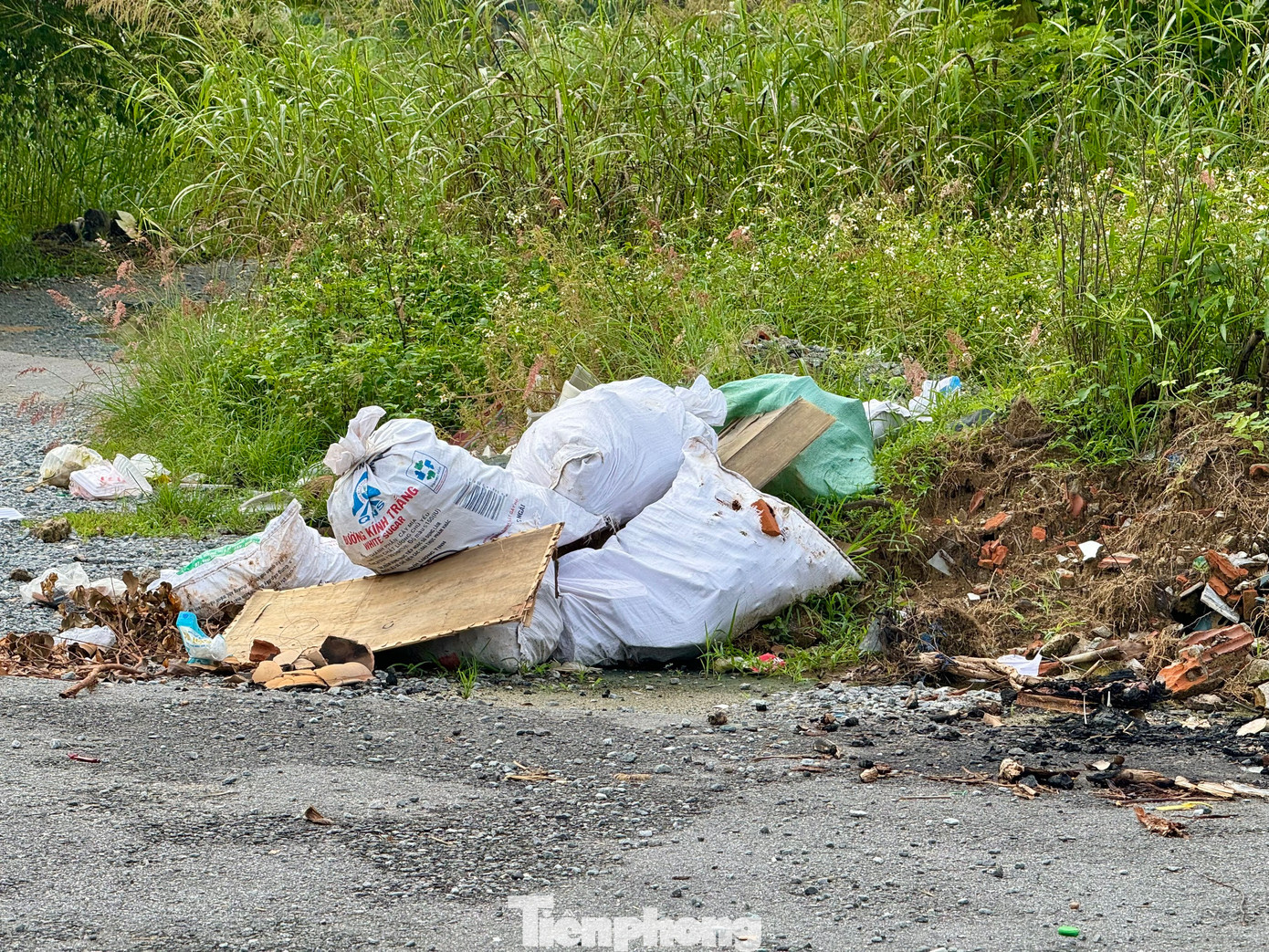 Theo ghi nhận của PV, trên công trường không có dấu hiệu nào của việc thi công, chỉ có vài ống thoát nước được tập kết quá lâu, cỏ dại mọc um tùm.