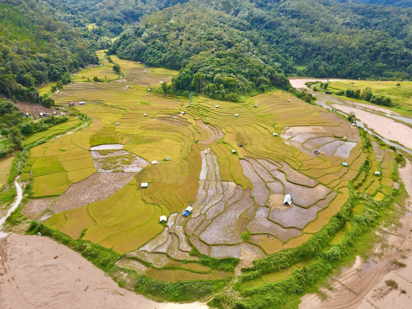 Ruộng bậc thang ở Kon Tu Rằng (xã Măng Cành, huyện Kon Plông, tỉnh Kon Tum) không rộng mênh mông như Mù Cang Chải (Yên Bái), cũng không kỳ vĩ như Hoàng Su Phì (Hà Giang), nhưng lại mang một vẻ đẹp riêng biệt, dịu dàng và hoang sơ.