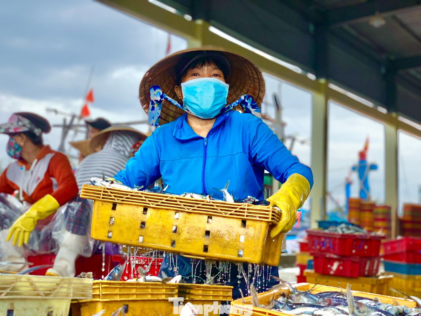 “Nguồn hải sản ngày càng cạn kiệt. Nên tàu đi biển phải đi xa hơn, dài ngày hơn, dẫn đến phí xăng dầu cũng đội lên. Nếu giá nhiên liệu cứ tăng với đà này ngư dân chúng tôi xác định ra khơi đánh bắt chắc chắn sẽ lỗ và có nguy cơ cho tàu nằm bờ”, ngư dân Ba bộc bạch. (Ảnh: Nguyễn Ngọc).