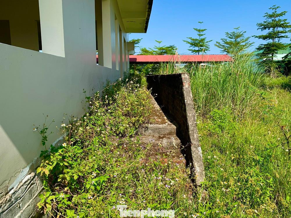 Theo ghi nhận của PV, trong khuôn viên rộng hơn 30.000m2 của dự án nhiều nơi cỏ dại mọc um tùm, một số khối nhà có dấu hiệu xuống cấp nghiêm trọng, một số hạng mục trơ sắt thép... Để tận dụng khu nhà tiền tỉ nhưng bỏ hoang, người dân xung quanh tận dụng chất rơm rạ cho trâu, bò.