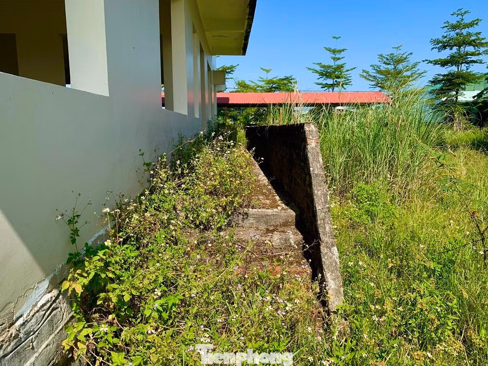 Theo ghi nhận của PV, trong khuôn viên rộng hơn 30.000m2 của dự án nhiều nơi cỏ dại mọc um tùm, một số khối nhà có dấu hiệu xuống cấp nghiêm trọng, một số hạng mục trơ sắt thép... Để tận dụng khu nhà tiền tỉ nhưng bỏ hoang, người dân xung quanh tận dụng chất rơm rạ cho trâu, bò.