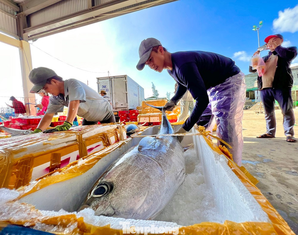 Ngư dân Nguyễn Phú (trú xã Bình Châu, huyện Bình Sơn), thuyền viên trên tàu cá QNg 90892 TS cho hay, anh đã hơn 15 năm lăn lộn ở ngư trường Hoàng Sa, trong đó có 10 năm ăn Tết trên biển. “Đến giờ giao thừa anh em nghỉ ngơi khoảng vài tiếng rồi mở Icom nghe lời chúc Tết từ đất liền của những người thân. Nhiều khi nhớ nhà, muốn bên vợ, bên con trong thời khắc quan trọng ấy nhưng vì cuộc sống mưu sinh nên mình đành phải chịu”, anh Phú bộc bạch.