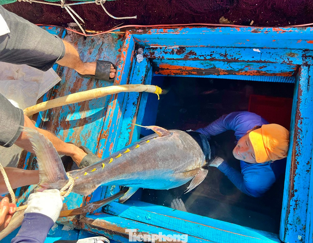 Tàu vừa cập cảng cá Tịnh Hòa (xã Tịnh Hòa, TP Quảng Ngãi), ngư dân Huỳnh Định (trú xã Phổ An, thị xã Đức Phổ), chủ tàu kiêm thuyền trưởng tàu cá QNg 98308 TS phấn khởi cho biết, sau gần một tháng bám biển xuyên Tết ở ngư trường Hoàng Sa, tàu cá của anh cùng 10 thuyền viên trở về đất liền với gần 20 tấn cá các loại.