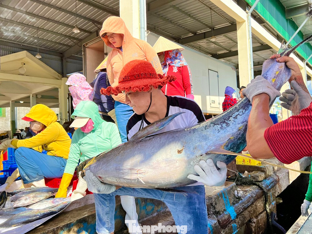 “Chuyến biển xuyên Tết này, tàu đánh bắt được gần 20 tấn cá các loại. Trong đó, có 10 tấn cá ngừ sọc dưa, 40 con cá ngừ đại dương (từ 20-40 kg/con), 1 tấn cá thu... Chuyến biển này, tàu của tôi thu về khoảng 400 triệu đồng, trừ phí tổn còn lời gần 300 triệu đồng. Mỗi bạn thuyền sẽ được chia tiền công khoảng 15-20 triệu đồng”, ông Định bộc bạch.