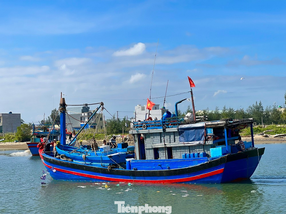 Toàn tỉnh Quảng Ngãi hiện có hơn 4.500 tàu cá với hơn 38.000 lao động hành nghề trên biển. Trong số đó, có 62 tàu cá đi biển xuyên Tết, các tàu này chủ yếu khai thác hải sản ở ngư trường Hoàng Sa, Trường Sa. Các tàu đi biển xuyên Tết, nhiều tàu trở về đạt hiệu quả đánh bắt rất tốt so với các năm trước, giá cá cũng ổn định nên nhiều ngư dân rất phấn khởi.