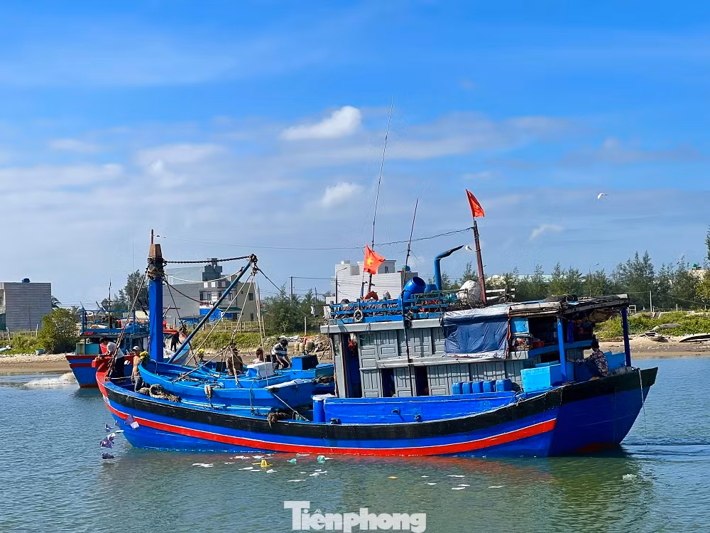 Toàn tỉnh Quảng Ngãi hiện có hơn 4.500 tàu cá với hơn 38.000 lao động hành nghề trên biển. Trong số đó, có 62 tàu cá đi biển xuyên Tết, các tàu này chủ yếu khai thác hải sản ở ngư trường Hoàng Sa, Trường Sa. Các tàu đi biển xuyên Tết, nhiều tàu trở về đạt hiệu quả đánh bắt rất tốt so với các năm trước, giá cá cũng ổn định nên nhiều ngư dân rất phấn khởi.
