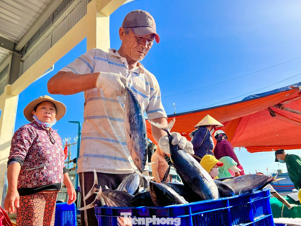 Cũng theo anh Tân, sau khi bán hết cá cho các thương lái, anh cho anh em thuyền viên nghỉ ngơi vài ngày rồi lại tiếp tục vươn khơi bám biển trở lại. Dự kiến chuyến biển mới này của tàu sẽ kéo dài khoảng 25 ngày ở ngư trường Hoàng Sa, Trường Sa.