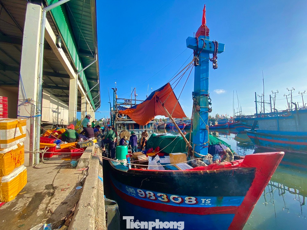 Liên tục trong những ngày qua, hàng loạt tàu cá của ngư dân Quảng Ngãi đánh bắt xuyên Tết hối hả, nối đuôi nhau từ ngư trường Hoàng Sa, Trường Sa trở về cập cảng, mang theo hàng chục tấn hải sản có giá trị, bán cho thương lái thu về hàng trăm triệu đồng.