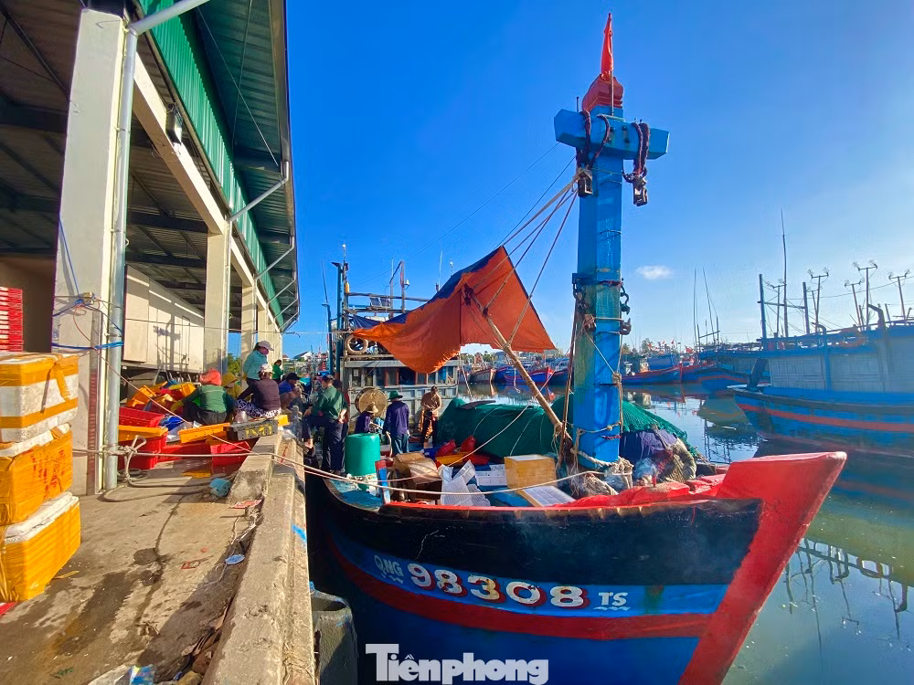 Liên tục trong những ngày qua, hàng loạt tàu cá của ngư dân Quảng Ngãi đánh bắt xuyên Tết hối hả, nối đuôi nhau từ ngư trường Hoàng Sa, Trường Sa trở về cập cảng, mang theo hàng chục tấn hải sản có giá trị, bán cho thương lái thu về hàng trăm triệu đồng.