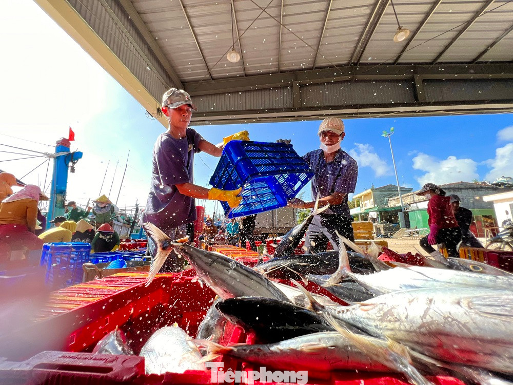 Ăn Tết trên biển được xem là niềm tự hào và sự phấn khởi của các thuyền viên, vì vừa mưu sinh thắng lớn, vừa góp phần bảo vệ chủ quyền biển đảo thiêng liêng của Tổ quốc.