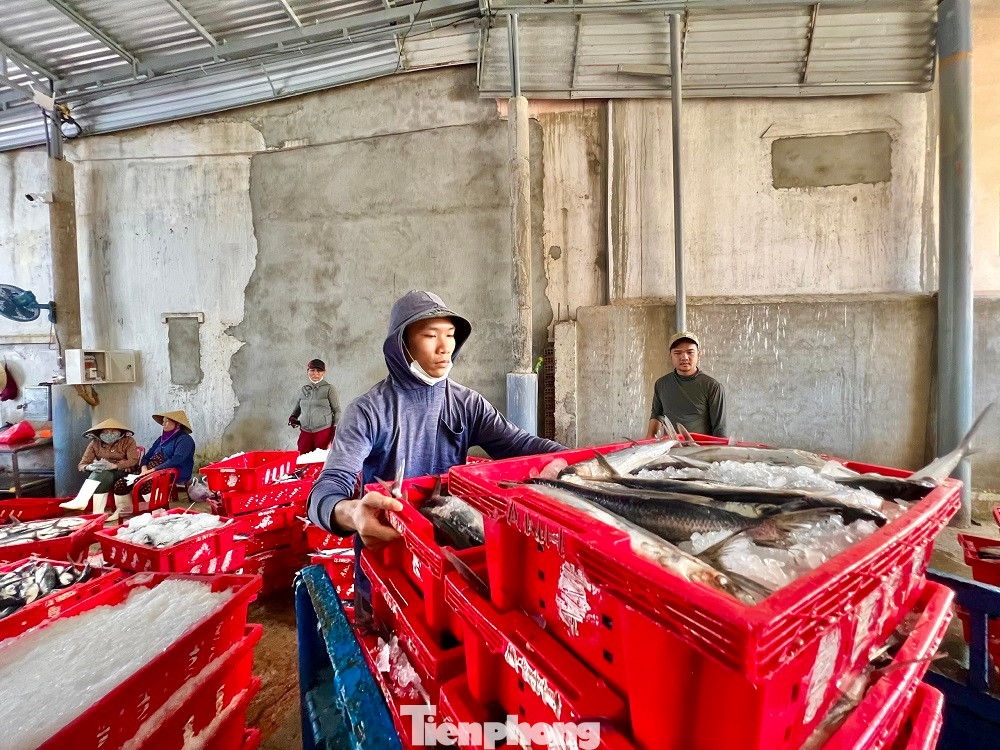 Anh Bùi Duy Tân, thuyền trưởng kiêm chủ tàu QNg 90892 TS (trú xã Bình Châu, huyện Bình Sơn) cho hay, cả năm đánh bắt, lênh đênh trên biển vui buồn đều thấm thía, nhưng cảm giác chờ đợi nhất vẫn là chuyến biển cuối năm. Thường thì những chuyến biển đặc biệt này, tàu thuyền nào cũng được thiên nhiên ưu ái đầy ắp tôm cá khi cập cảng.