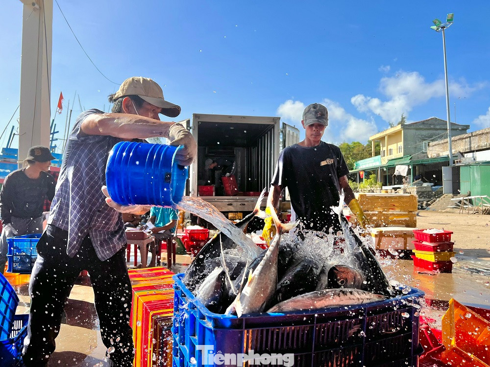 Ăn Tết trên biển được xem là niềm tự hào và sự phấn khởi của các thuyền viên, vì vừa mưu sinh thắng lớn, vừa góp phần bảo vệ chủ quyền biển đảo thiêng liêng của Tổ quốc.