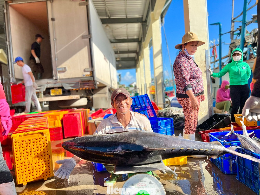 “Chuyến biển xuyên Tết này, tàu đánh bắt được gần 20 tấn cá các loại. Trong đó, có 10 tấn cá ngừ sọc dưa, 40 con cá ngừ đại dương (từ 20-40 kg/con), 1 tấn cá thu... Chuyến biển này, tàu của tôi thu về khoảng 400 triệu đồng, trừ phí tổn còn lời gần 300 triệu đồng. Mỗi bạn thuyền sẽ được chia tiền công khoảng 15-20 triệu đồng”, ông Định bộc bạch.