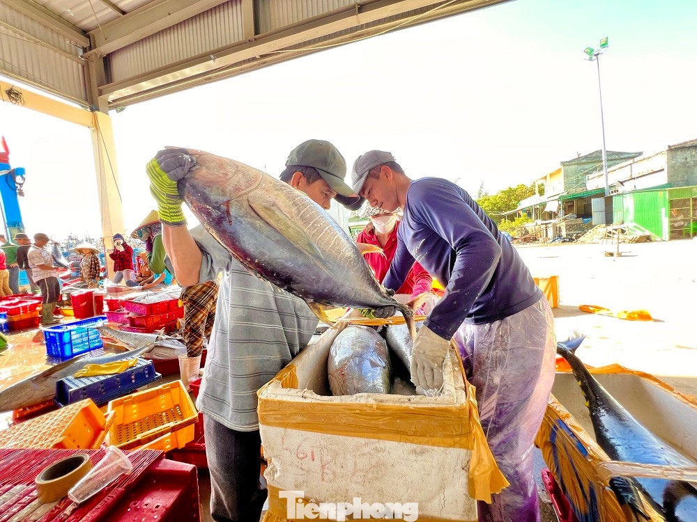 Ngư dân Nguyễn Phú (trú xã Bình Châu, huyện Bình Sơn), thuyền viên trên tàu cá QNg 90892 TS cho hay, anh đã hơn 15 năm lăn lộn ở ngư trường Hoàng Sa, trong đó có 10 năm ăn Tết trên biển. “Đến giờ giao thừa anh em nghỉ ngơi khoảng vài tiếng rồi mở Icom nghe lời chúc Tết từ đất liền của những người thân. Nhiều khi nhớ nhà, muốn bên vợ, bên con trong thời khắc quan trọng ấy nhưng vì cuộc sống mưu sinh nên mình đành phải chịu”, anh Phú bộc bạch.