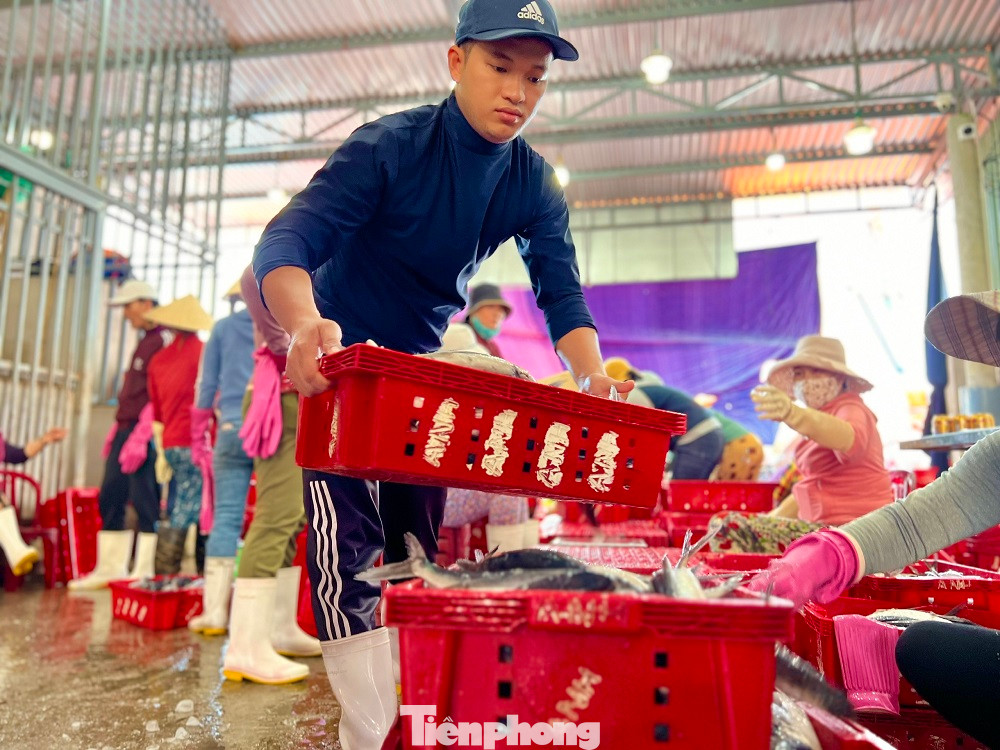 Còn tại cảng Sa Kỳ (xã Bình Châu, huyện Bình Sơn), hàng chục con tàu đánh bắt cá chuồn từ các ngư trường Trường Sa cũng nối đuôi nhau cập bến sau phiên biển “xuyên Tết” ở vùng biển xa bờ của Tổ quốc. Nét mặt của những ngư dân trúng đậm cá chuồn, dường như không thấy nỗi buồn vừa thêm một cái Tết xa gia đình lênh đênh trên biển.