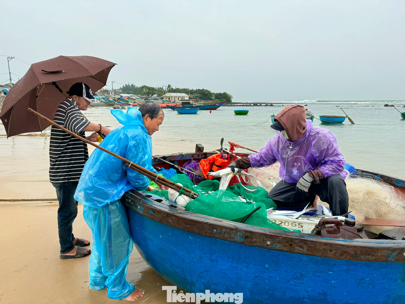 Thời gian mưa bão nếu khai thác hải sản sẽ vừa được mùa, vừa được giá. Ảnh: Nguyễn Ngọc