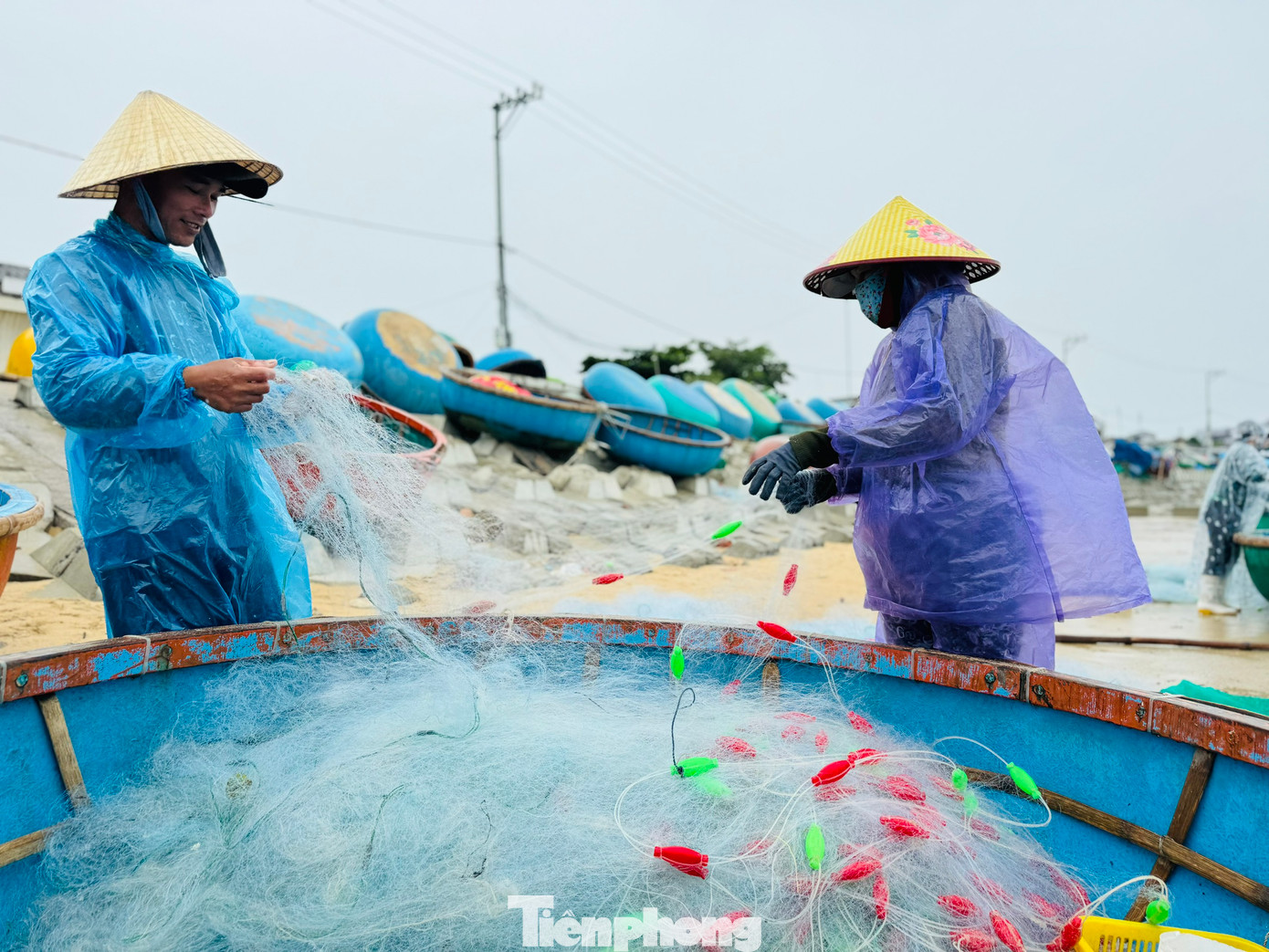 Giá cá mùa này cũng cao gấp đôi so với ngày thường. Ảnh: Nguyễn Ngọc