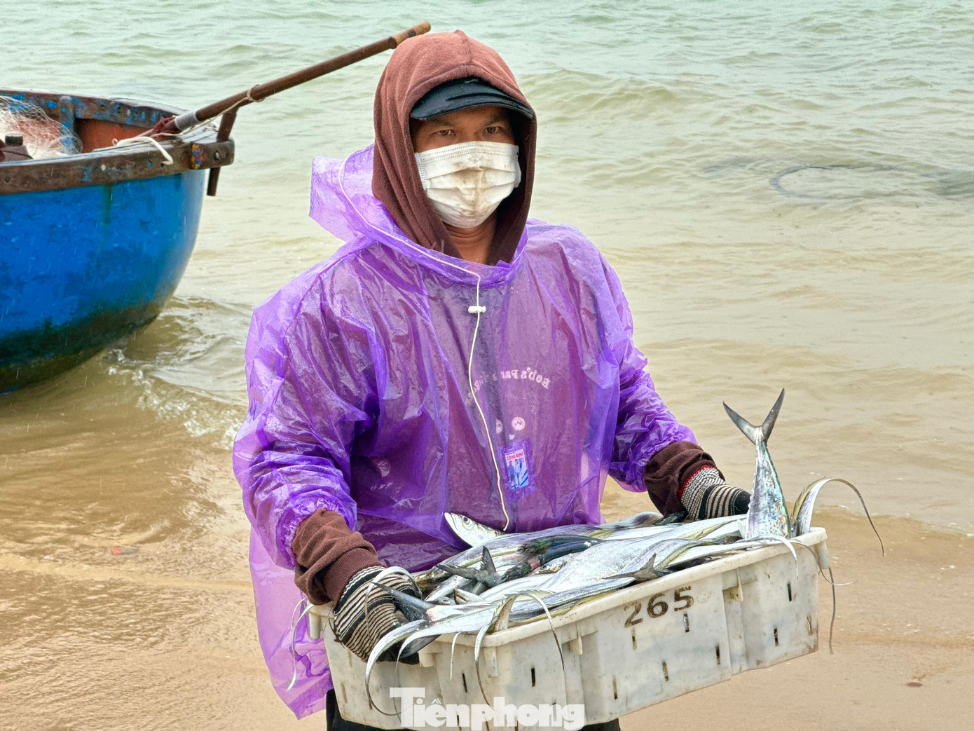 Thời gian mưa bão nếu khai thác hải sản sẽ vừa được mùa, vừa được giá. Ảnh: Nguyễn Ngọc