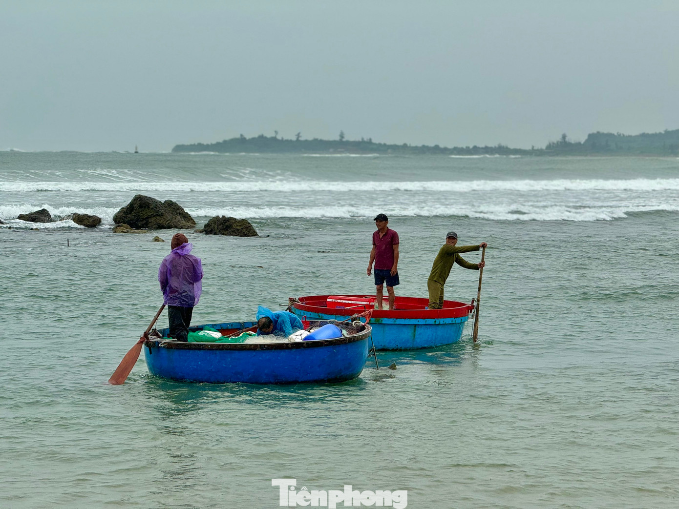 Theo ngư dân, trước và sau mỗi cơn bão hay áp thấp nhiệt đới, các loại hải sản tìm về vùng biển ven bờ tránh trú, tìm kiếm thức ăn rất nhiều. Ảnh: Nguyễn Ngọc