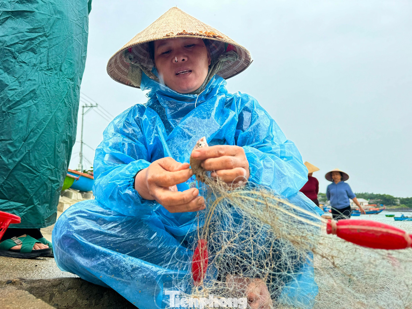 Giá cá mùa này cũng cao gấp đôi so với ngày thường. Ảnh: Nguyễn Ngọc