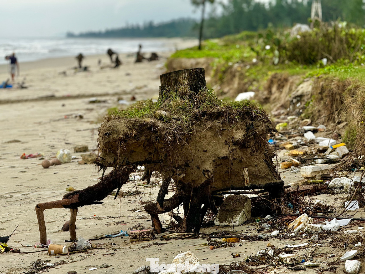 “Cứ đà này, nếu không có giải pháp khắc phục sớm, đừng nói là bãi biển không còn, thậm chí tuyến đường du lịch chạy dọc bãi biển Mỹ Khê cũng bị xóa sổ”, ông Tánh nói. Ảnh: Nguyễn Ngọc.
