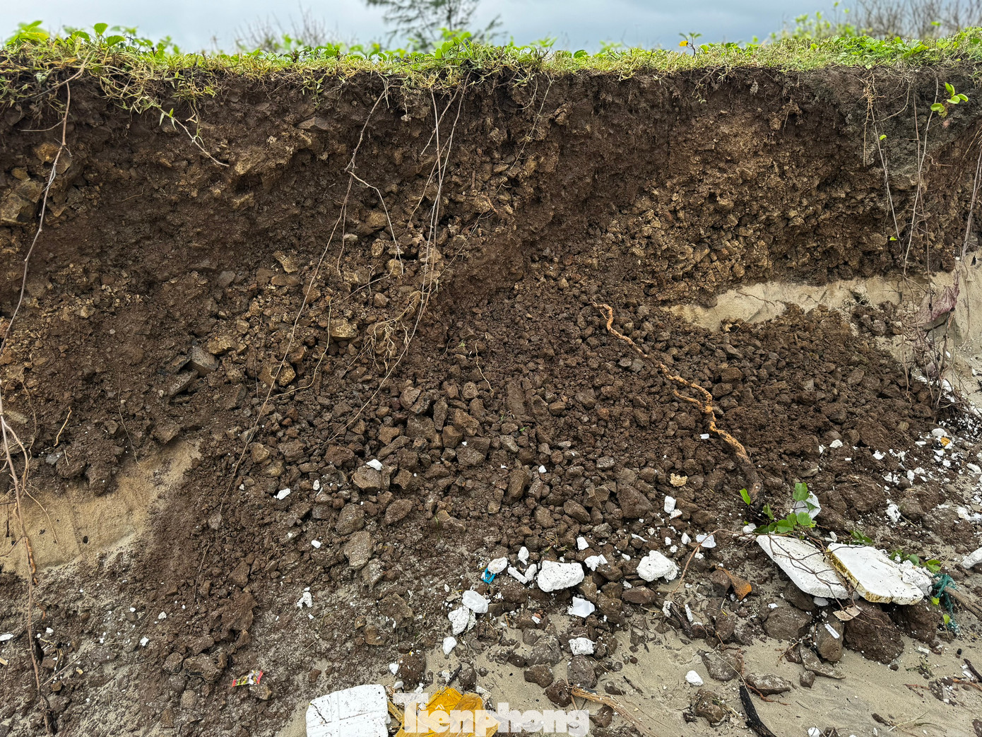 Một số vị trí triều cường gây sạt lở nghiêm trọng, đất đá bị cuốn “phăng” ra biển, tạo thành bờ đất cao gần 2m. Ảnh: Nguyễn Ngọc.