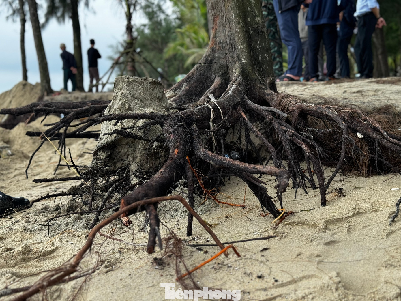 Ông Trà Thanh Danh - Chủ tịch UBND TP. Quảng Ngãi - cho biết, khoảng 5 năm qua, sạt lở ở bãi biển Mỹ Khê diễn ra. Mỗi năm một nặng dần, năm nay là quá nặng. Ảnh: Nguyễn Ngọc.