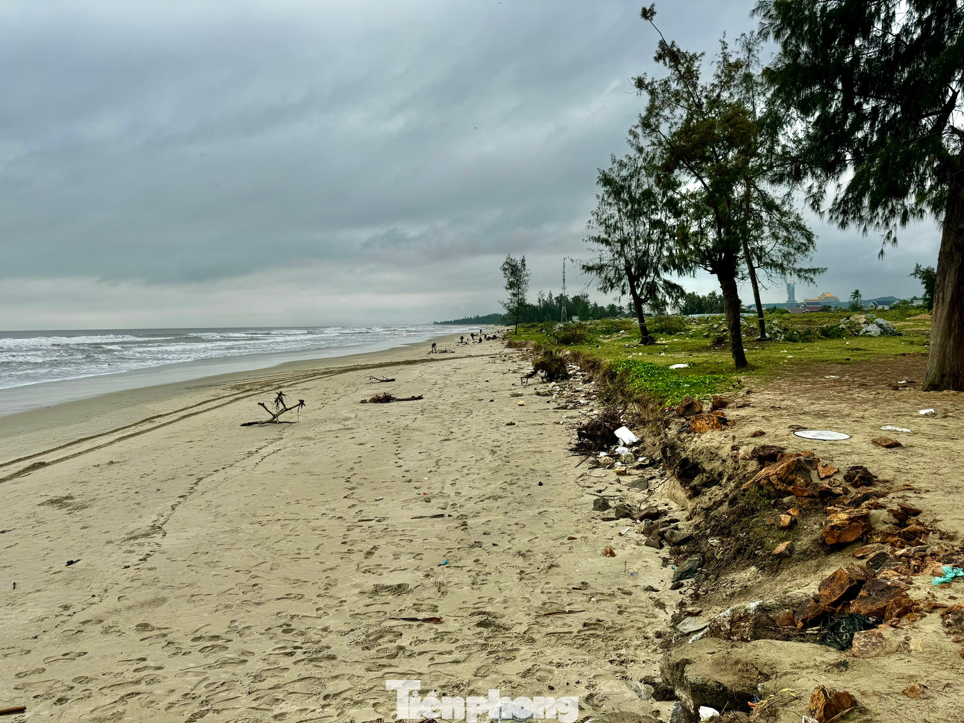 Sáng 26/2, theo ghi nhận của PV Tiền Phong, khoảng 1km bờ biển Mỹ Khê (xã Tịnh Khê, TP. Quảng Ngãi, tỉnh Quảng Ngãi) bị sóng lớn, triều cường “ngoạm” sâu. Nhiều vị trí đứng trước nguy cơ “xóa sổ”. Ảnh: Nguyễn Ngọc.