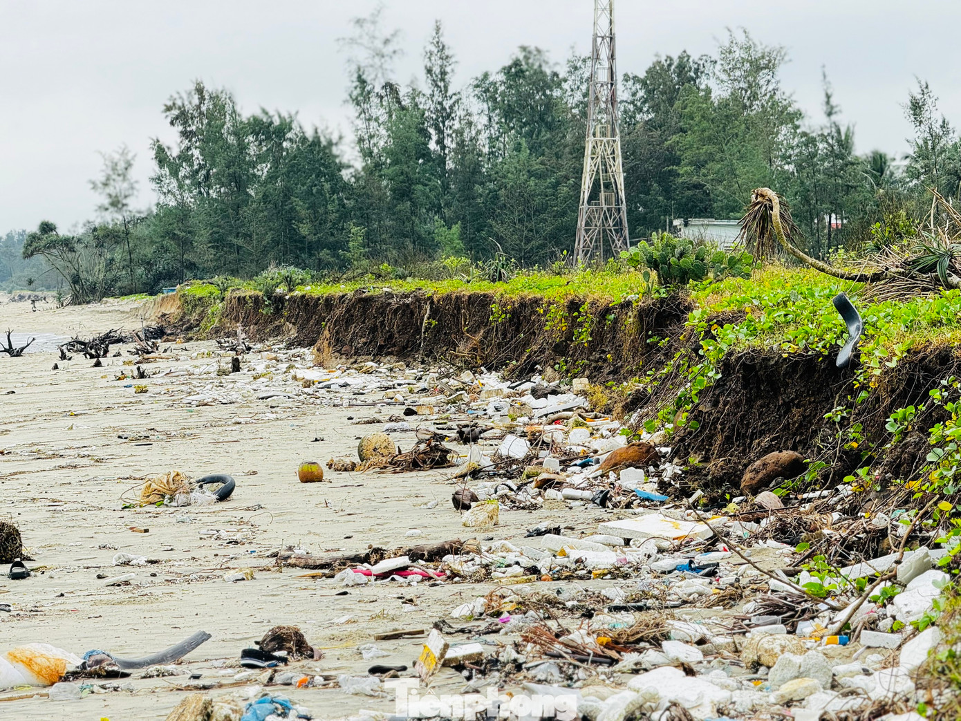 Sáng 26/2, theo ghi nhận của PV Tiền Phong, khoảng 1km bờ biển Mỹ Khê (xã Tịnh Khê, TP. Quảng Ngãi, tỉnh Quảng Ngãi) bị sóng lớn, triều cường “ngoạm” sâu. Nhiều vị trí đứng trước nguy cơ “xóa sổ”. Ảnh: Nguyễn Ngọc.