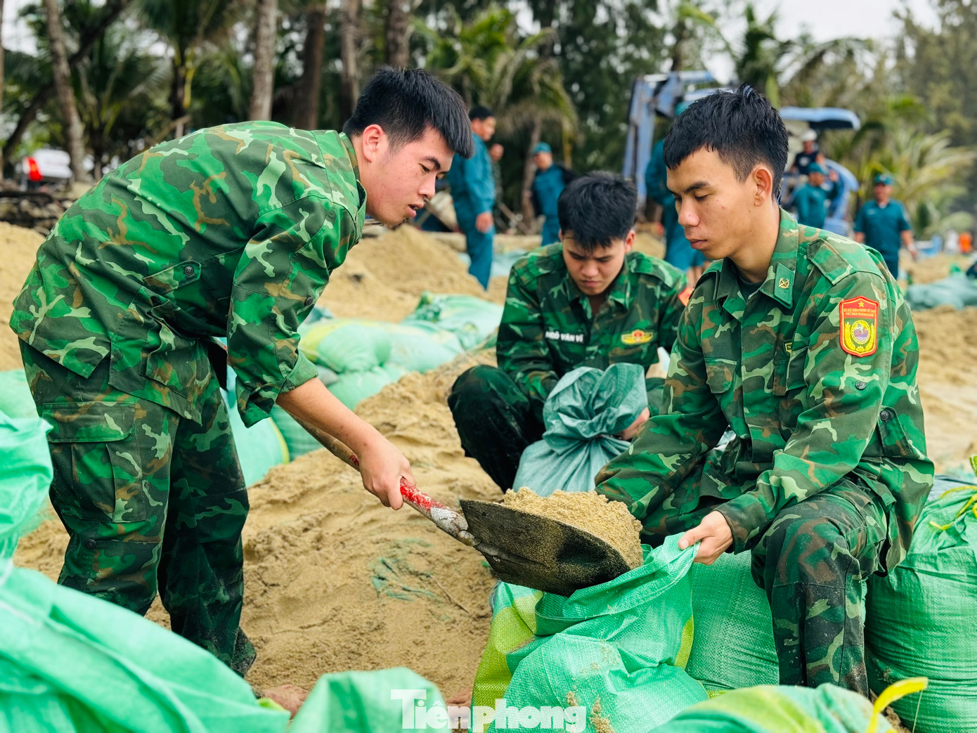 Các lực lượng khẩn trương gia cố bờ biển. Ảnh: Nguyễn Ngọc.