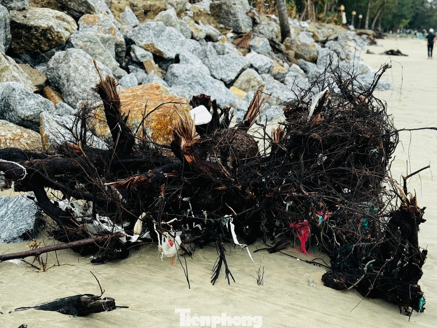 Để giảm thiệt hại, nhiều chủ quán đã chi tiền đổ đá ngăn sạt lở, nhưng đây cũng chỉ là giải pháp tạm thời trước những trận sóng lớn. Ảnh: Nguyễn Ngọc.