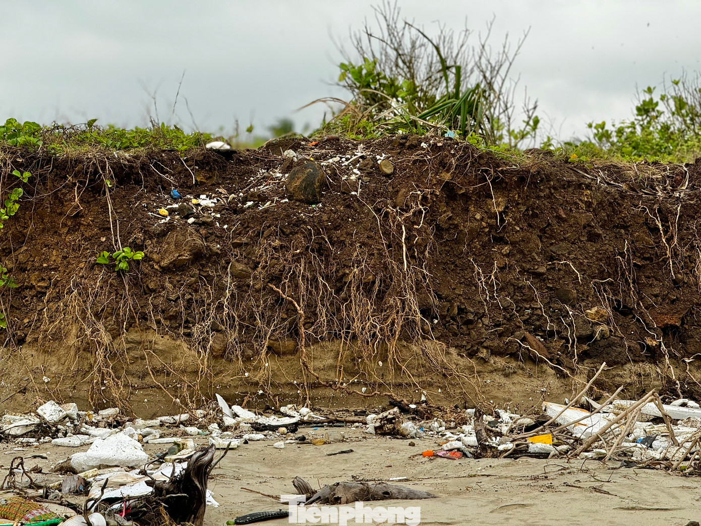 Một số vị trí triều cường gây sạt lở nghiêm trọng, đất đá bị cuốn “phăng” ra biển, tạo thành bờ đất cao gần 2m. Ảnh: Nguyễn Ngọc.