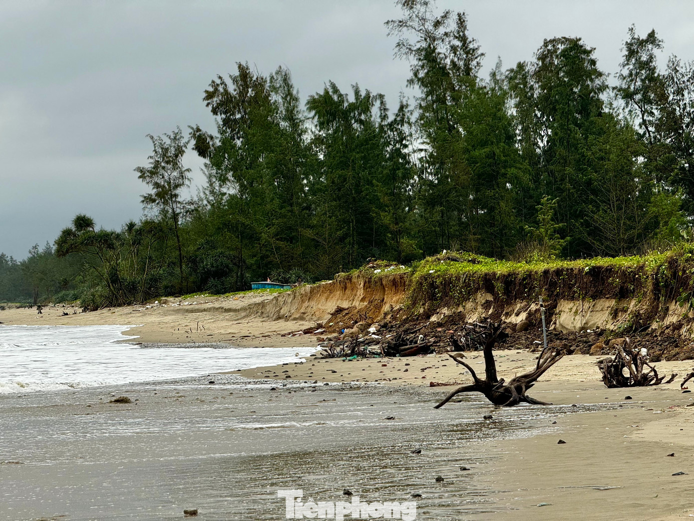 “Cứ đà này, nếu không có giải pháp khắc phục sớm, đừng nói là bãi biển không còn, thậm chí tuyến đường du lịch chạy dọc bãi biển Mỹ Khê cũng bị xóa sổ”, ông Tánh nói. Ảnh: Nguyễn Ngọc.