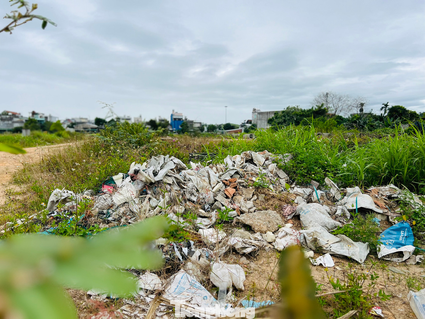 Bên trong khuôn viên dự án cỏ dại mọc um tùm, rác thải, phế thải xây dựng đổ khắp nơi, nhiều hạng mục sau thời gian dài không được duy tu bảo dưỡng nay đã xuống cấp nghiêm trọng. Ảnh: Nguyễn Ngọc