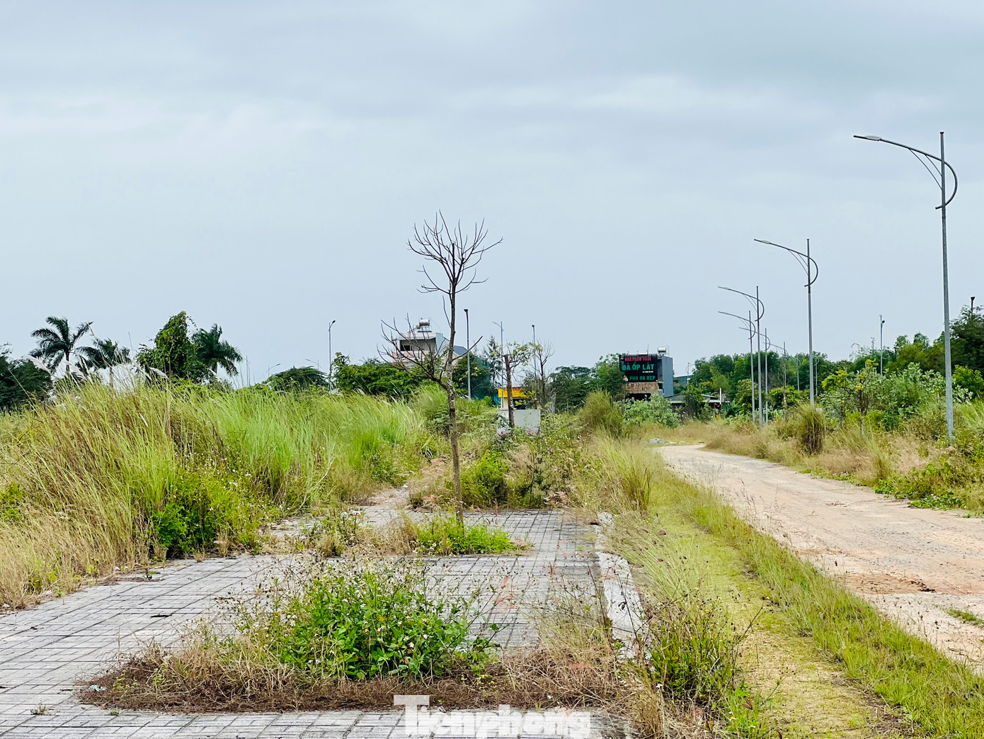 Trong kế hoạch thu tiền sử dụng đất của tỉnh Quảng Ngãi, thì khu dân cư trục đường Mỹ Trà - Mỹ Khê đóng góp 285 lô đất, dự kiến bán đấu giá thu về số tiền 350 tỷ đồng. Thế nhưng, nhìn vào những tồn tại, vướng mắc của dự án, cũng như tình hình thị trường bất động sản hiện tại thì đây là mục tiêu không dễ đạt được. Ảnh: Nguyễn Ngọc
