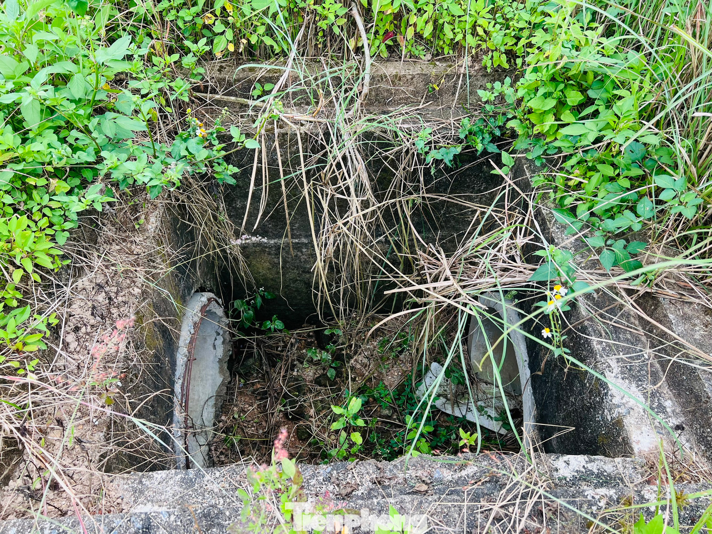 Một số tủ điện đã bung nắp, cỏ dại phủ lên trên. Nhiều cống thoát nước thi công dang dở, hệ thống hố ga thu nước mưa không có nắp đậy tạo thành những cái bẫy. Ảnh: Nguyễn Ngọc