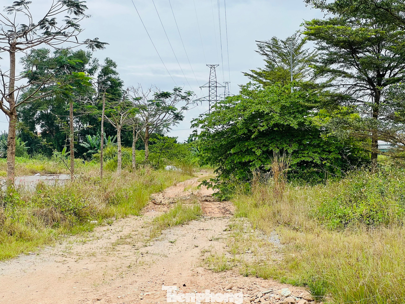Theo tìm hiểu, một trong những nguyên nhân lớn khiến dự án dang dở là do chủ đầu tư gặp vướng mắc trong việc xác định vốn góp trong quá trình thực hiện dự án trước khi thực hiện thoái vốn Nhà nước khỏi QISC... Ảnh: Nguyễn Ngọc