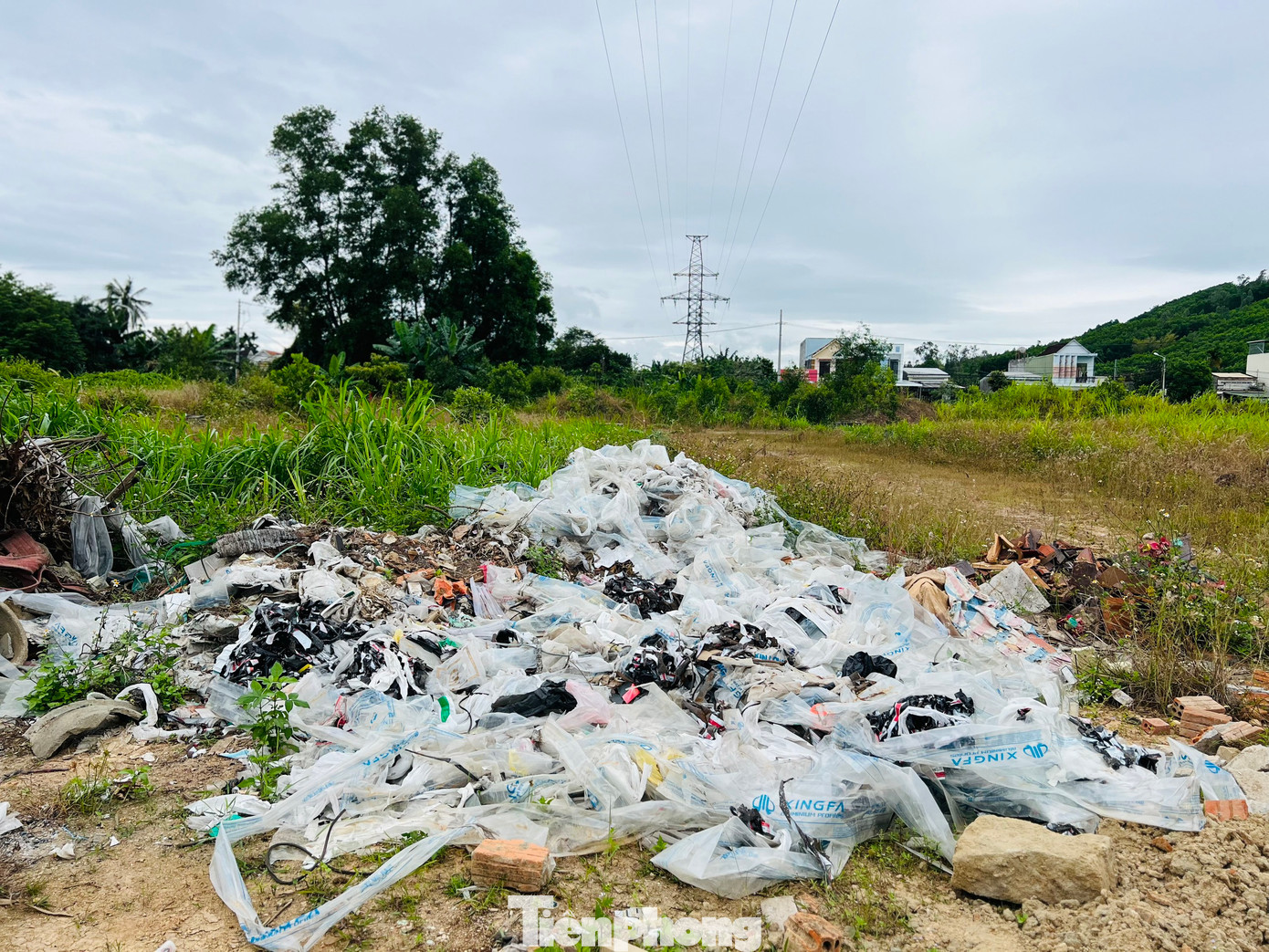 Bên trong khuôn viên dự án cỏ dại mọc um tùm, rác thải, phế thải xây dựng đổ khắp nơi, nhiều hạng mục sau thời gian dài không được duy tu bảo dưỡng nay đã xuống cấp nghiêm trọng. Ảnh: Nguyễn Ngọc