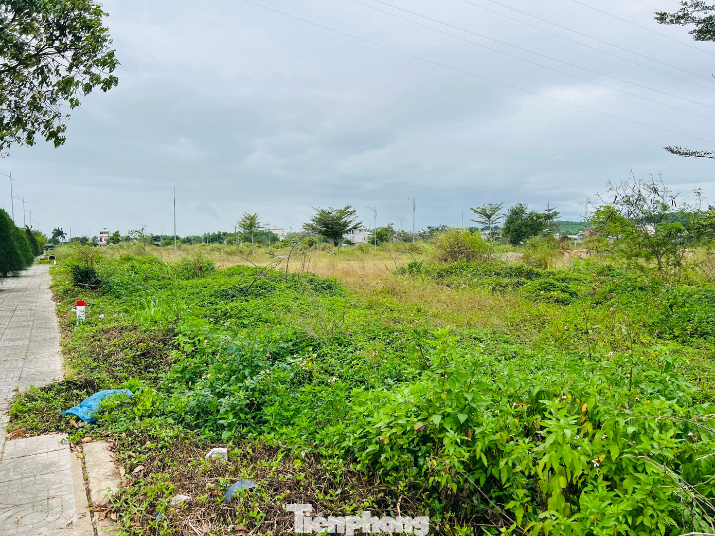 Trong kế hoạch thu tiền sử dụng đất của tỉnh Quảng Ngãi, thì khu dân cư trục đường Mỹ Trà - Mỹ Khê đóng góp 285 lô đất, dự kiến bán đấu giá thu về số tiền 350 tỷ đồng. Thế nhưng, nhìn vào những tồn tại, vướng mắc của dự án, cũng như tình hình thị trường bất động sản hiện tại thì đây là mục tiêu không dễ đạt được. Ảnh: Nguyễn Ngọc